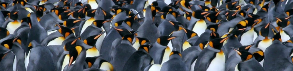 How Big Memory is Being Deployed by Server Vendors: Penguin Computing